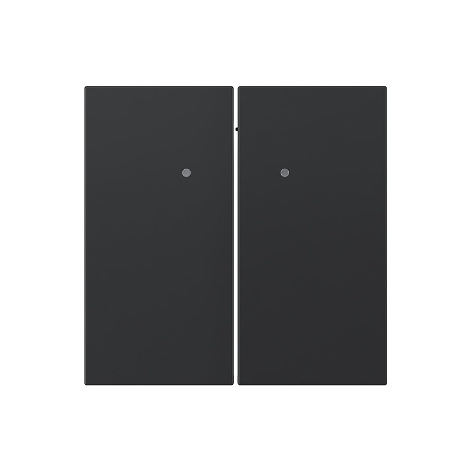 Tecla doble con visor para mecanismo pulsante negro mate | Simon 360 negro mate