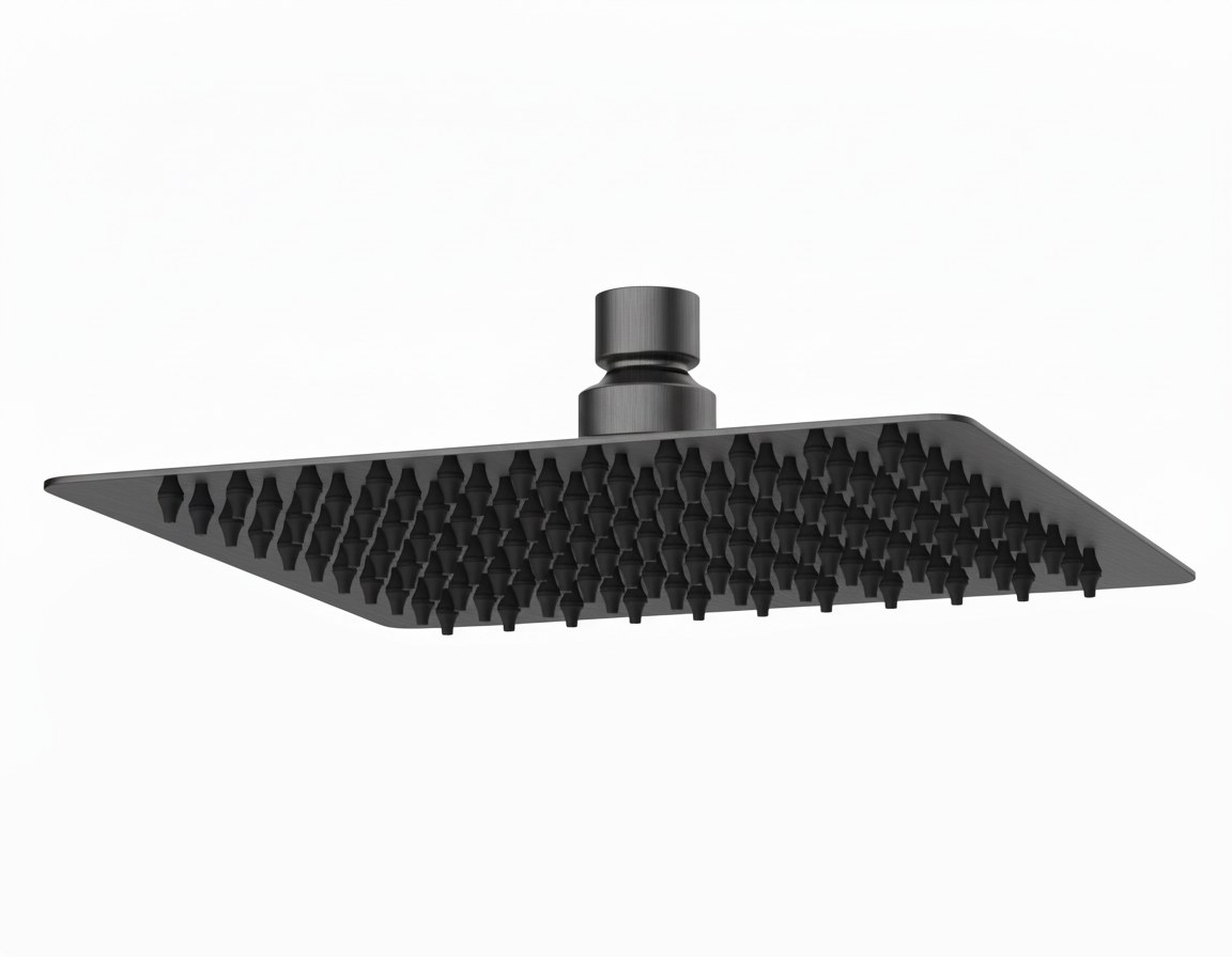 Rociador cuadrado inox Ducha 250 x 250mm Grafito Cepillado 651GR Griferias Borras